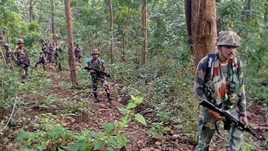 नेशनल पार्क में मुठभेड़: शांति प्रस्ताव के बीच अबूझमाड़ में भीषण गोलीबारी, 3 नक्सली ढेर