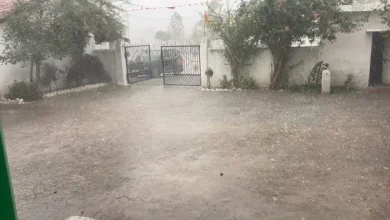 छत्तीसगढ़ में मौसम का बदला मिजाज: कवर्धा में ओलावृष्टि से तापमान 46 से गिरकर 37 डिग्री पर पहुंचा 9 छत्तीसगढ़ में मौसम का बदला मिजाज: कवर्धा में ओलावृष्टि से तापमान 46 से गिरकर 37 डिग्री पर पहुंचा