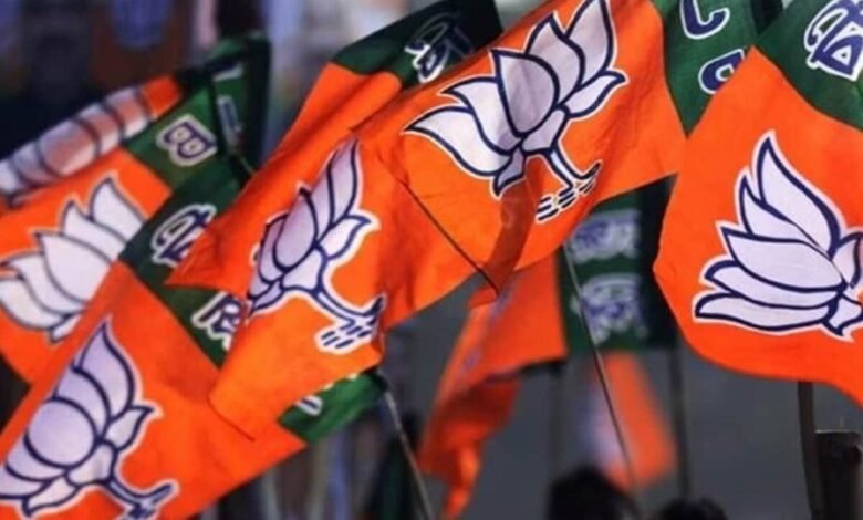 BJP ने कवर्धा जिले की 14 मंडल समितियों की घोषणा की, महिलाओं और सामाजिक वर्गों को मिला संतुलित प्रतिनिधित्व; जानिए किसे मिली कौन-सी जिम्मेदारी