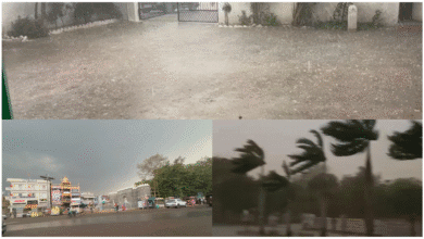 छत्तीसगढ़ में मौसम का बदला मिजाज: कवर्धा और रायपुर में आंधी-तूफान के साथ भारी बारिश, तापमान में भारी गिरावट