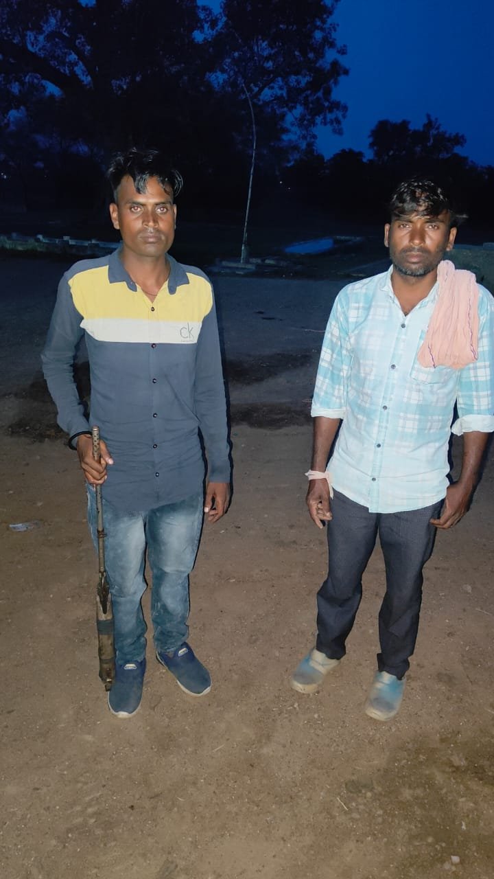 कोसमंदा में बंदरों की हत्या का मामला: आरोपी की पहचान, एयरगन बरामद 1 कोसमंदा में बंदरों की हत्या का मामला: आरोपी की पहचान, एयरगन बरामद