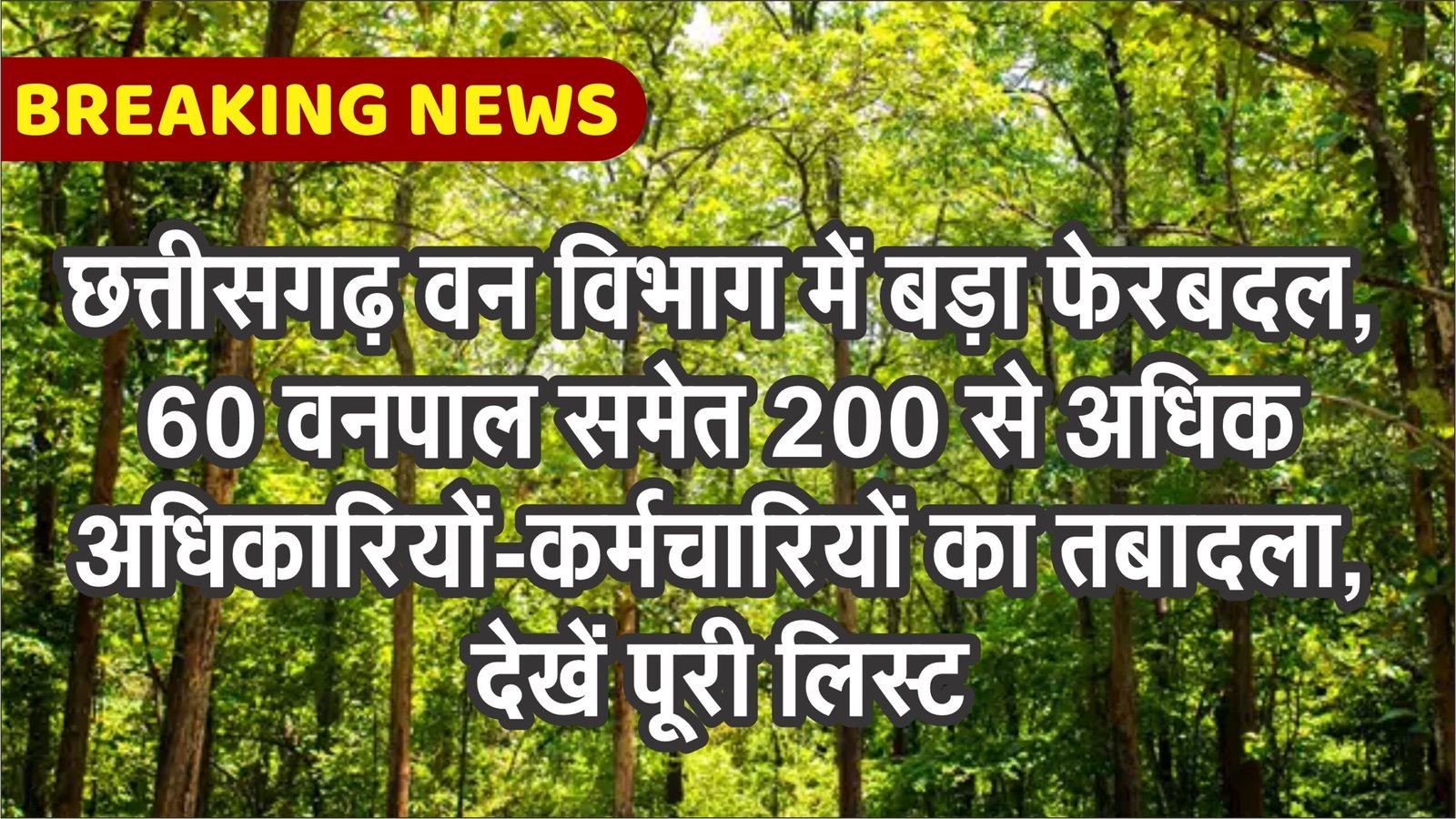 छत्तीसगढ़ वन विभाग में बड़ा फेरबदल, 60 वनपाल समेत 200 से अधिक कर्मचारियों का तबादला, देखें पूरी लिस्ट 1 छत्तीसगढ़ वन विभाग में बड़ा फेरबदल, 60 वनपाल समेत 200 से अधिक कर्मचारियों का तबादला, देखें पूरी लिस्ट
