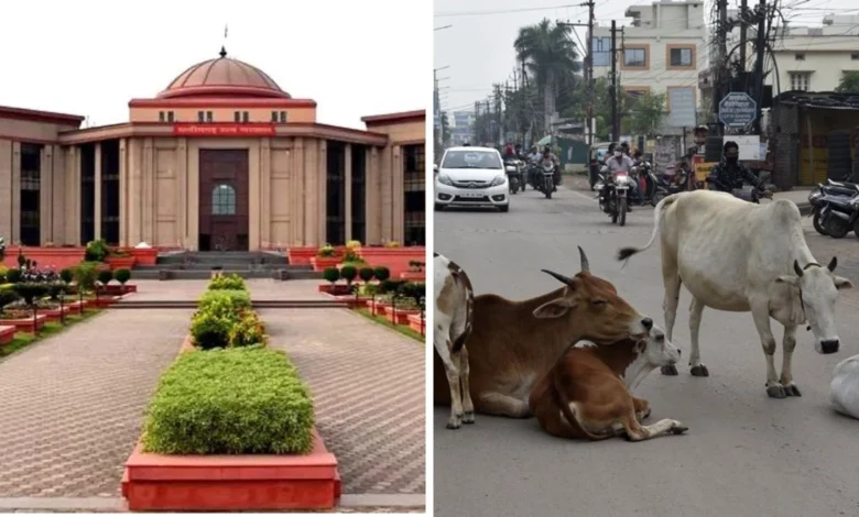 सड़क पर मवेशी छोड़ना पड़ा महंगा, टैग स्कैन कर मालिकों पर FIR 10 सड़क पर मवेशी छोड़ना पड़ा महंगा, टैग स्कैन कर मालिकों पर FIR