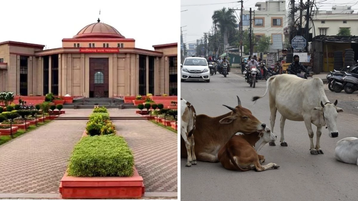 सड़क पर मवेशी छोड़ना पड़ा महंगा, टैग स्कैन कर मालिकों पर FIR 1 सड़क पर मवेशी छोड़ना पड़ा महंगा, टैग स्कैन कर मालिकों पर FIR