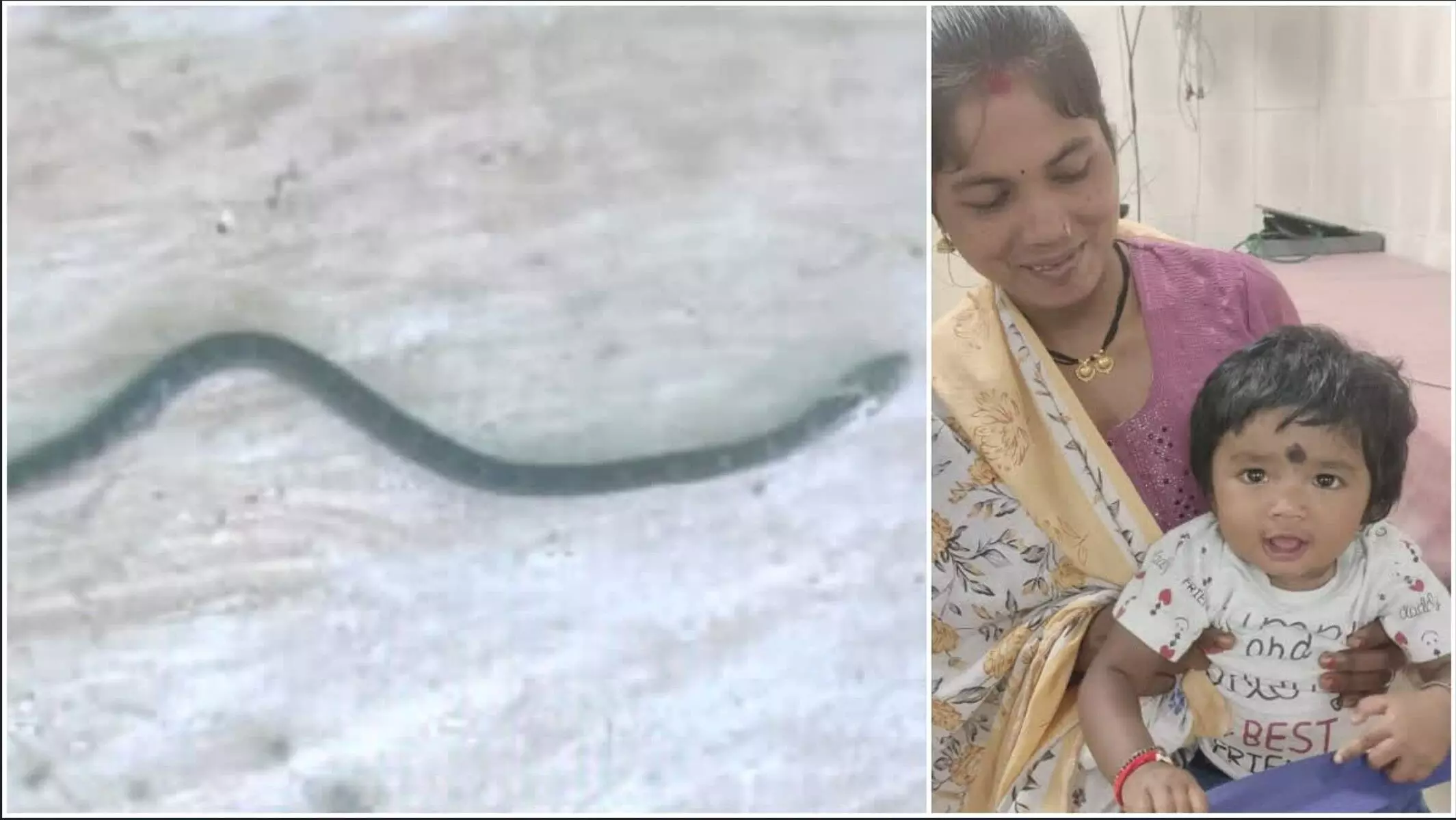 ब्रेकिंग न्यूज़: बस्तर की नन्ही शेरनी – 9 महीने की बच्ची ने खेल-खेल में मार डाला जहरीला करैत सांप 1 ब्रेकिंग न्यूज़: बस्तर की नन्ही शेरनी – 9 महीने की बच्ची ने खेल-खेल में मार डाला जहरीला करैत सांप