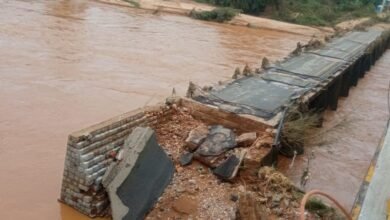 दंतेवाड़ा में बाढ़ का कहर: 100 मीटर लंबा पुल बहा, बिजली-पानी ठप, सैकड़ों लोग बेघर | देखें वीडियो