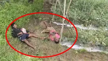 कवर्धा में दर्दनाक हादसा: खेत में करंट की चपेट में आने से पिता-पुत्र की मौत 1 कवर्धा में दर्दनाक हादसा: खेत में करंट की चपेट में आने से पिता-पुत्र की मौत