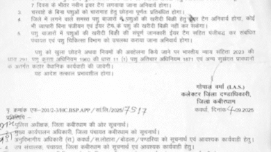 मवेशी खुले में छोड़े तो नहीं बख्शे जाएंगे पशुपालक – कवर्धा कलेक्टर का सख्त आदेश, तुरंत जानें क्या होगी कार्रवाई