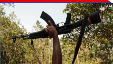 लाल गलियारे में बड़ा झटका: नक्सली संगठन को करारा आघात, सोनू दादा सहित 60 माओवादी ने किया सरेंडर