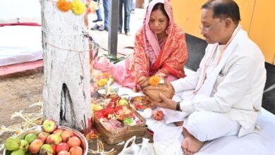 आंवला नवमी पर मुख्यमंत्री ने आंवला वृक्ष की पूजा कर प्रदेशवासियों के सुख-समृद्धि की कामना की 3 WWWRRRR