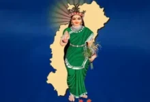 रायपुर में छत्तीसगढ़ महतारी की प्रतिमा से तोड़फोड़, सिर तोड़ उखाड़ फेंकी मूर्ति; क्षेत्र में आक्रोश