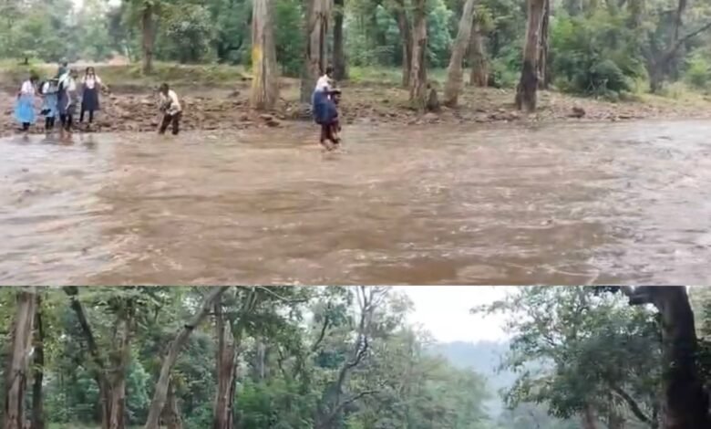 पुल की अभाव में जान जोखिम पर शिक्षा का सफर — उफनती नदी पार कर स्कूल जा रहे बच्चे, बाढ़ के बीच ‘नदी ही बना सहारा 1 photo output 3