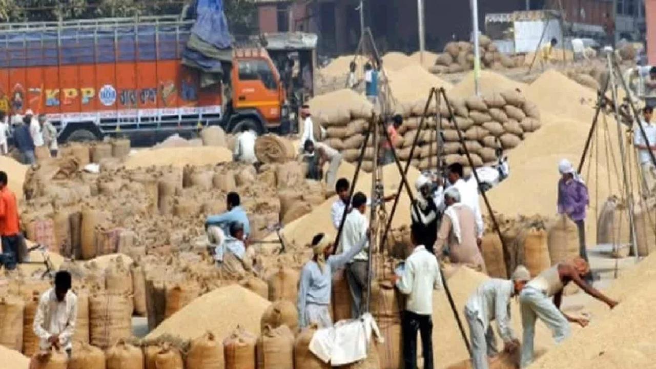 सहकारी समितियों की हड़ताल बेअसर, प्रदेश में धान खरीदी रफ्तार पर, तीसरे दिन भी बड़ी मात्रा में हुई खरीदी