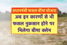 केंद्र सरकार ने किसानों को दी बड़ी सौगात: प्रधानमंत्री फसल बीमा योजना का दायरा बढ़ा; जंगली जानवर और जलभराव से होने वाला नुकसान भी होंगे अब कवर