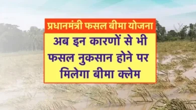 केंद्र सरकार ने किसानों को दी बड़ी सौगात: प्रधानमंत्री फसल बीमा योजना का दायरा बढ़ा; जंगली जानवर और जलभराव से होने वाला नुकसान भी होंगे अब कवर