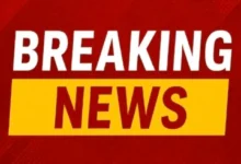 छत्तीसगढ़ में तबादलों पर बैन : 6 फरवरी 2026 तक लागू रहेगा प्रतिबंध, सरकार का फैसला