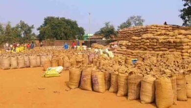 धान खरीदी प्रक्रिया में राहत: शासन ने बढ़ाया समय, 19 से 25 नवंबर तक होगा नया पंजीयन व रकबा संशोधन, सहयोग के लिए टोल फ्री नंबर जारी