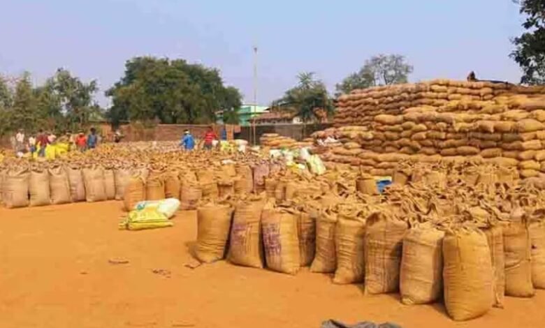 धान खरीदी प्रक्रिया में राहत: शासन ने बढ़ाया समय, 19 से 25 नवंबर तक होगा नया पंजीयन व रकबा संशोधन, सहयोग के लिए टोल फ्री नंबर जारी