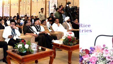 चावल निर्यातकों को बड़ी सौगात : मंडी शुल्क में छूट की अवधि एक साल बढ़ाई, इंडिया इंटरनेशनल राइस समिट में मुख्यमंत्री विष्णु देव साय ने की घोषणा 2 चावल निर्यातकों को बड़ी सौगात : मंडी शुल्क में छूट की अवधि एक साल बढ़ाई, इंडिया इंटरनेशनल राइस समिट में मुख्यमंत्री विष्णु देव साय ने की घोषणा