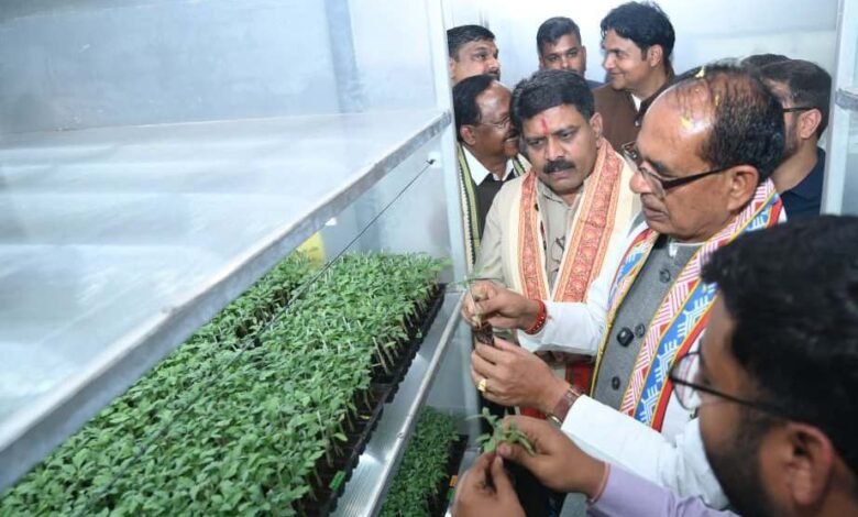 1769877787 367a35ddc30441019aa8 1 1