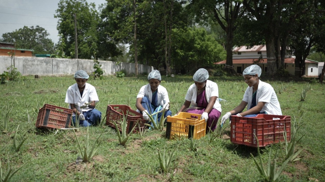 1770640348 8127f9835f817d655155