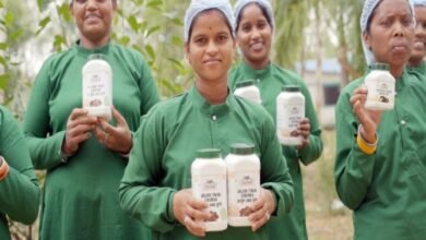 1770640397 cb0ea01d1604cec09d70