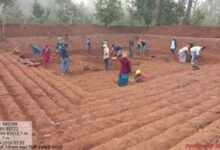 1770722227 3e52599cdade58491788