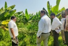 1770882119 100714d3951452bf78c2