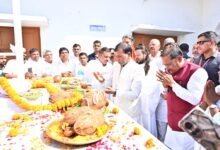 1771399998 e555af82f58206799bc8