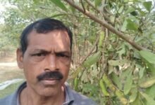 1771491212 8e39ce3923d8b03c1493