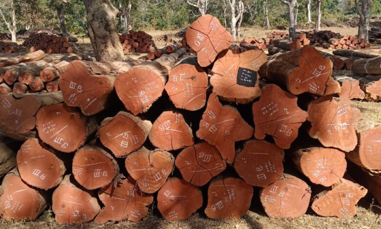 वन विकास निगम में ‘डिजिटल क्रांति‘ और ‘रोजगार संगम‘ का सफल मॉडल 13 ffff