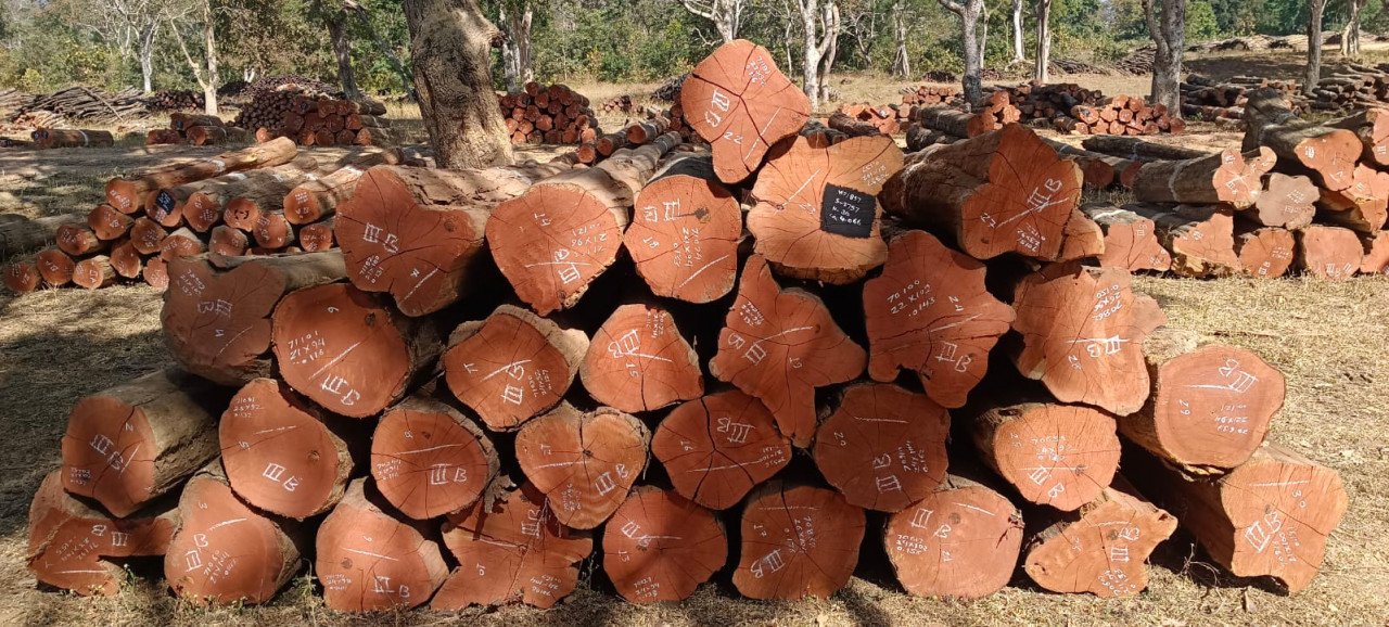 वन विकास निगम में ‘डिजिटल क्रांति‘ और ‘रोजगार संगम‘ का सफल मॉडल 1 ffff