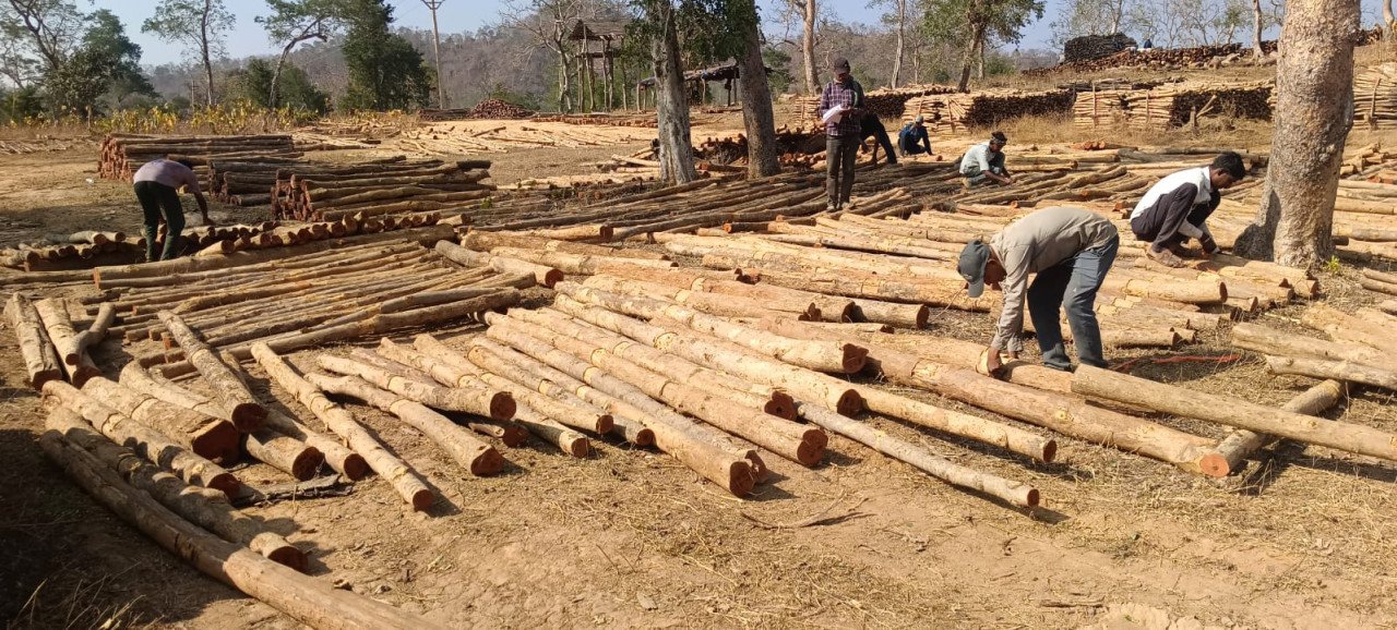 वन विकास निगम में ‘डिजिटल क्रांति‘ और ‘रोजगार संगम‘ का सफल मॉडल 2 gggg