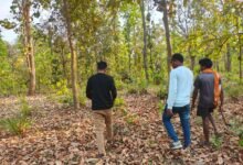 1775215743 dc8f25ecb94d40efe479