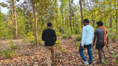 1775215743 dc8f25ecb94d40efe479