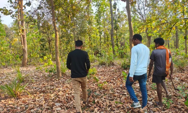 1775215743 dc8f25ecb94d40efe479