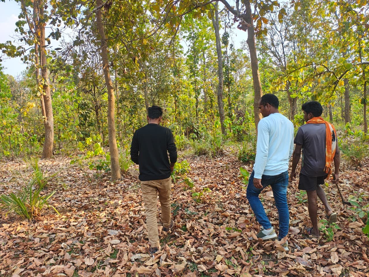 1775215743 dc8f25ecb94d40efe479