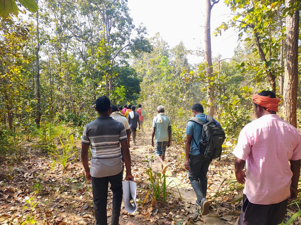 1775215768 7e8e780780ca4d40b195