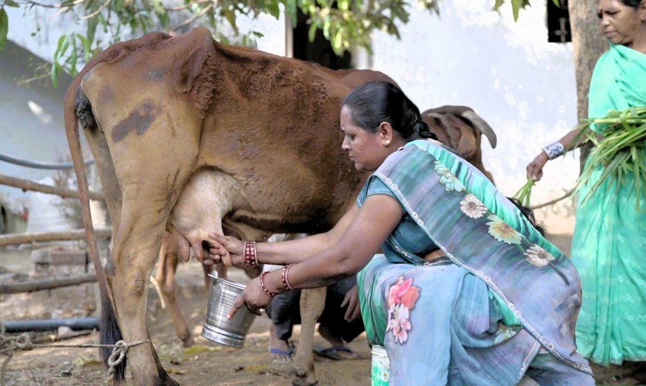 आत्मनिर्भरता की मिसाल: औराटोला बना बालोद का पहला लखपति दीदी ग्राम 3 1775657224 e51e278b14cefeea2fa3 1