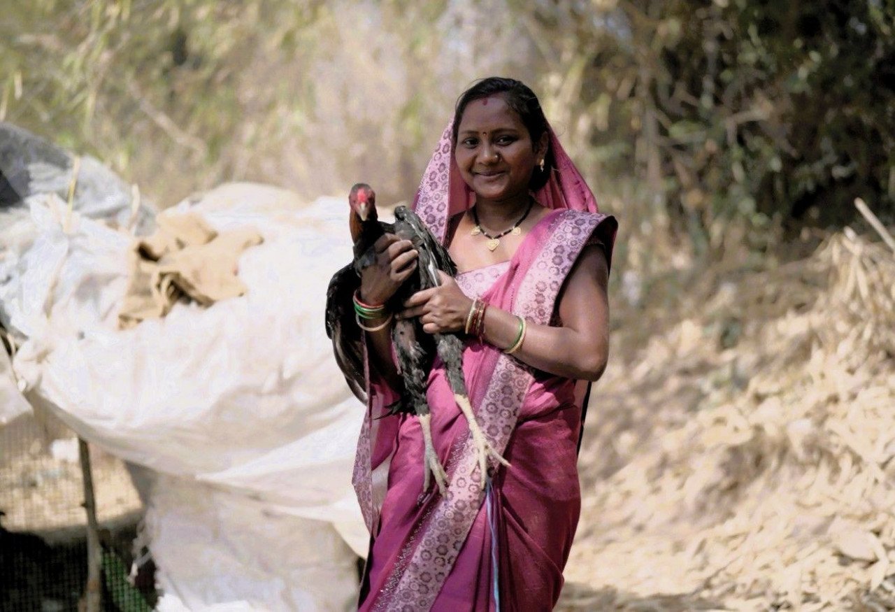 1775657245 fda83713d17929419a44