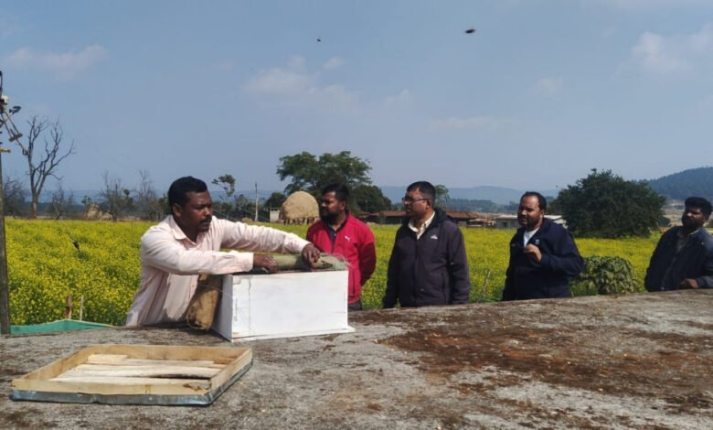 मधुमक्खी पालन: कम लागत में ज्यादा मुनाफे का बेहतर विकल्प 2 1775897719 9a2a236fb7f46f95db4f