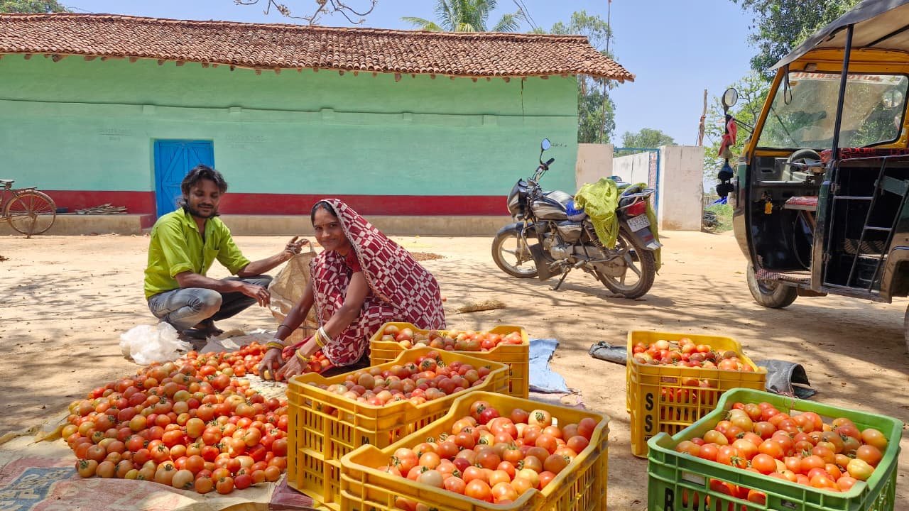 1776236583 e94691ce619ae80ba297