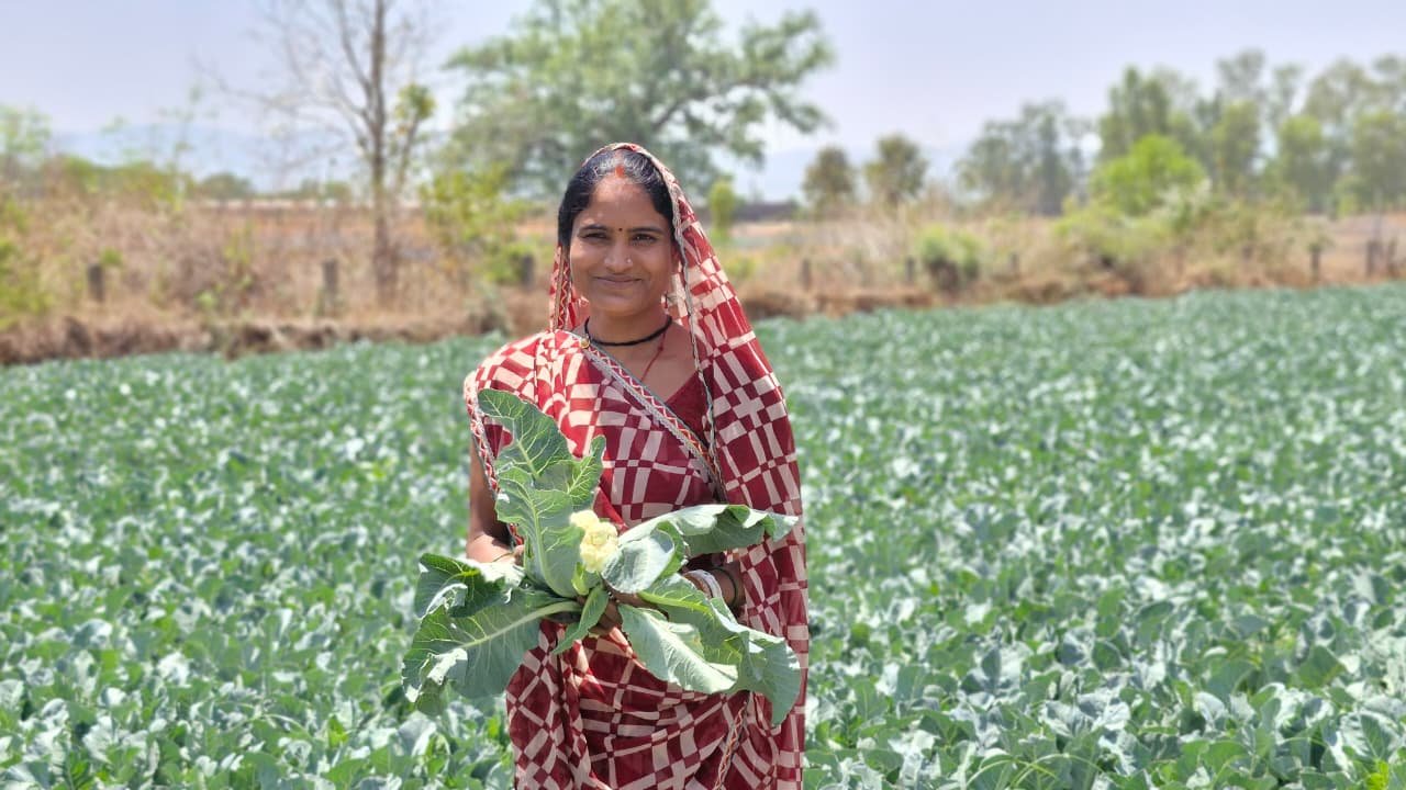 1776236610 63570932097f19e69063 1