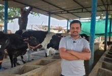 सरगुजा के राजनाथ यादव बने आधुनिक पशुपालन से आत्मनिर्भरता की मिसाल 48 1776250342 89eeab574aa1f2d835c1