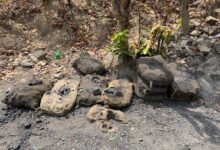 1776519501 c03512c13bcaf5611afb