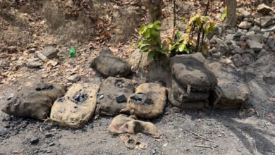 1776519501 c03512c13bcaf5611afb