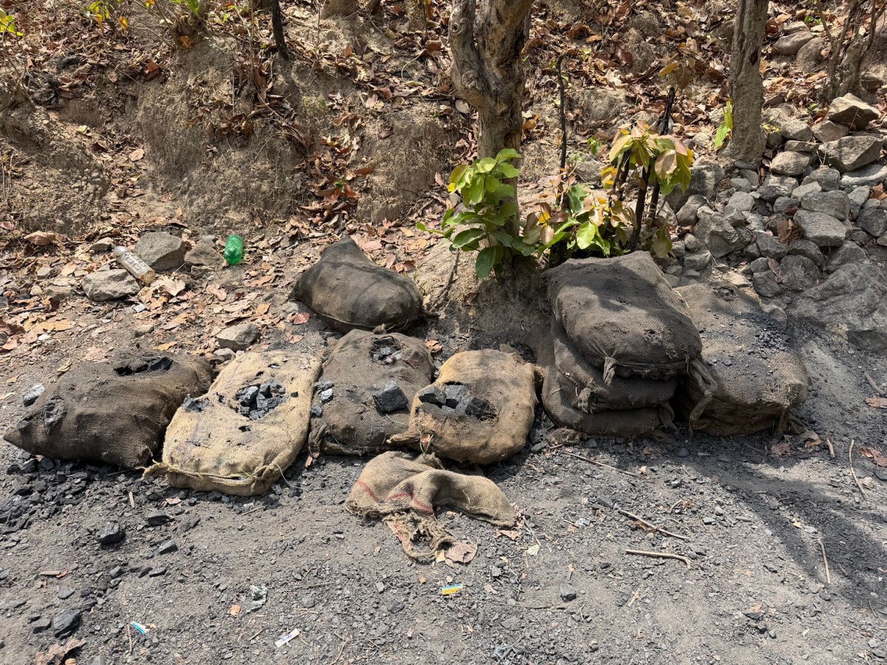 1776519501 c03512c13bcaf5611afb