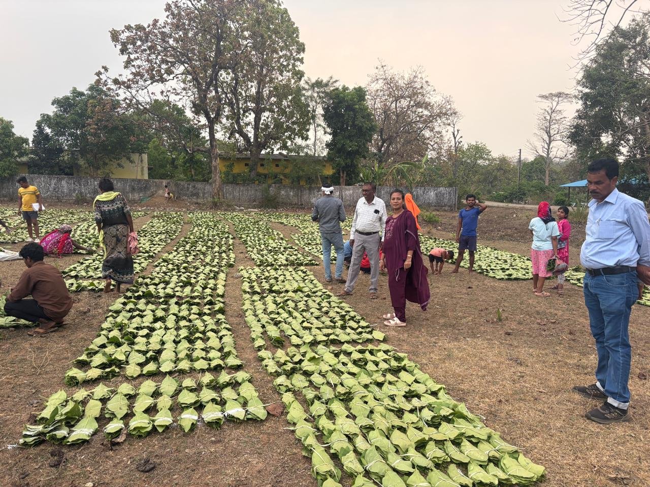 1776845235 05f785234fa39b2b344e