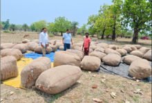 1776845254 230ff357c1c3751be5cb