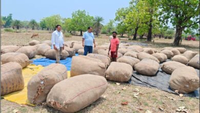 1776845254 230ff357c1c3751be5cb